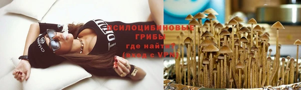 амф Баксан